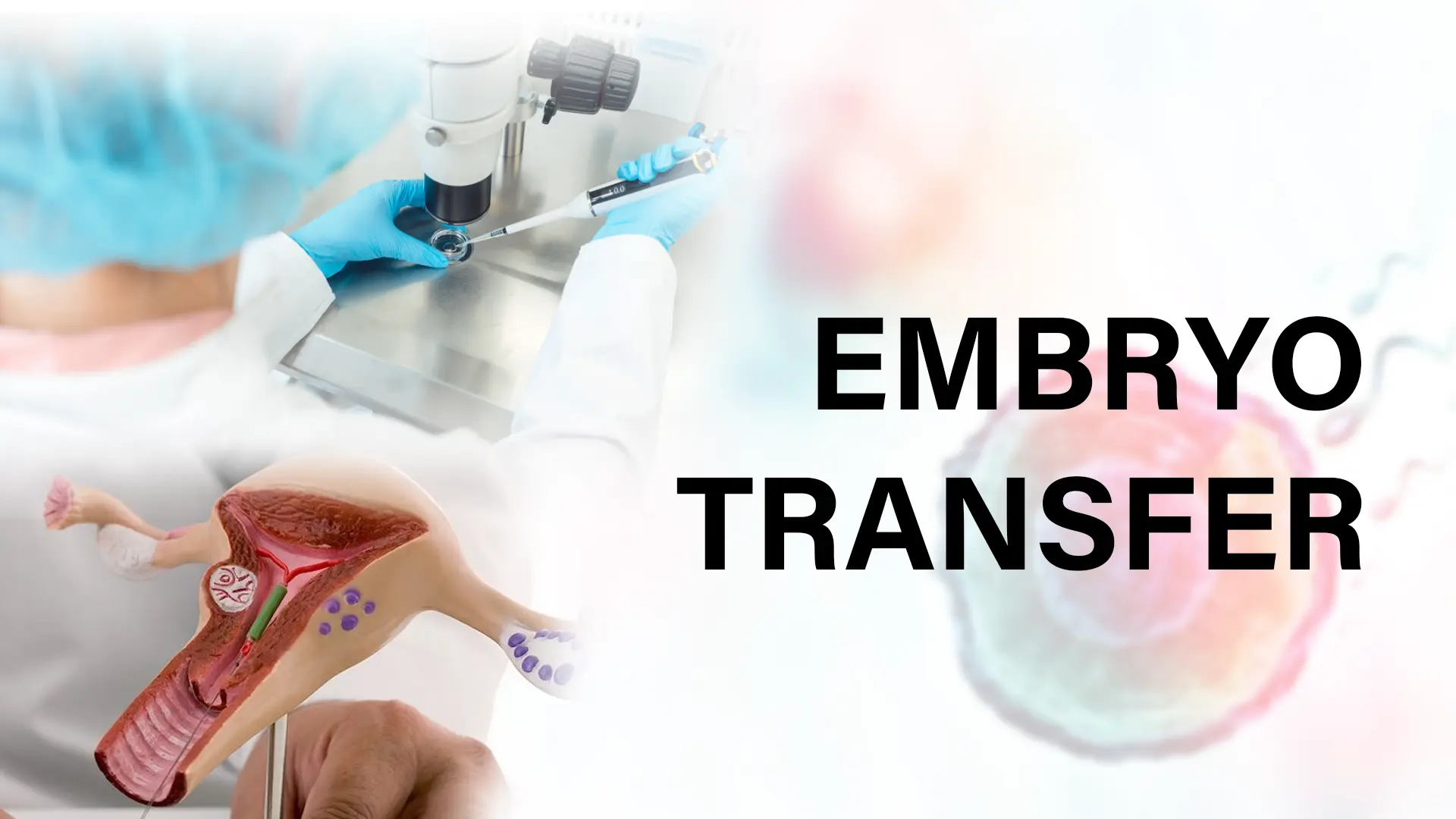 Positive Signs After Embryo Transfer