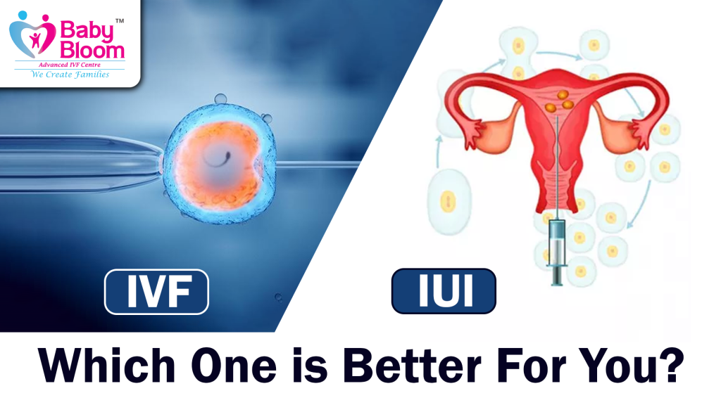 Which-One-is-Better-For-You ( Babybloom IVF center in Gurgaon )