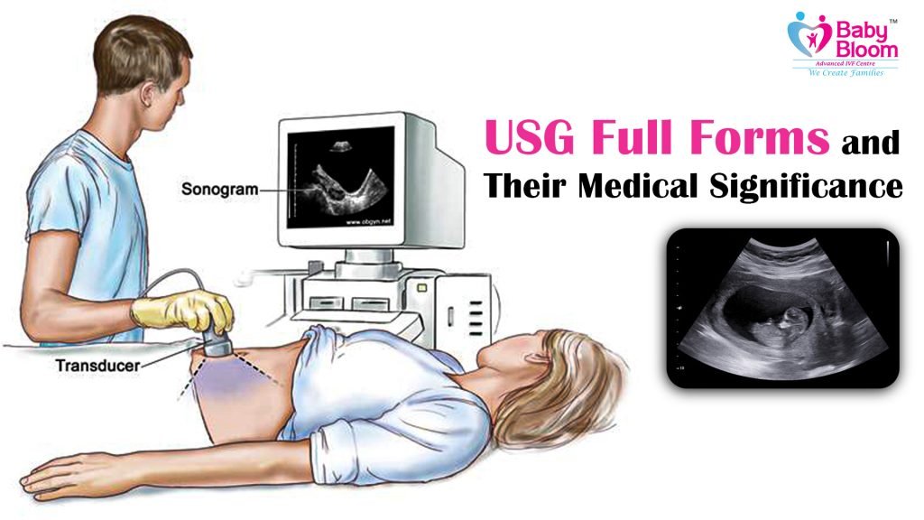 USG FULL FORM and How its work this image describe the sample of ultrasound