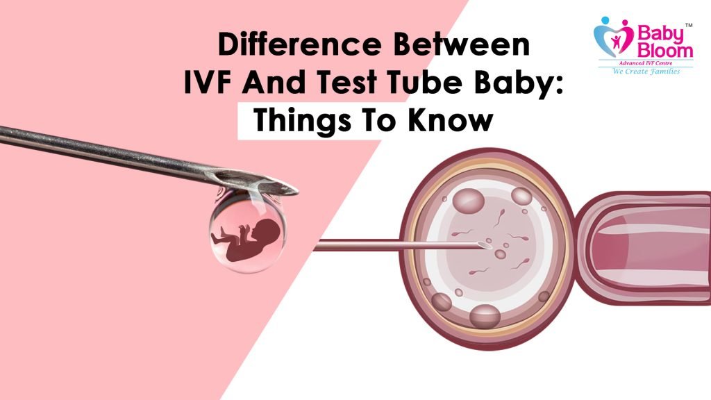 Difference-Between-IVF-And-Test-Tube-Baby, image indicate that a women pregnant with help of IVF