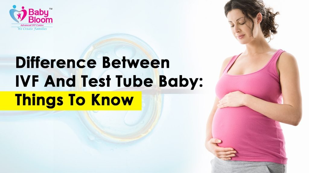 Difference-Between-IVF-And-Test-Tube-Baby, image indicate that a women pregnant with help of IVF