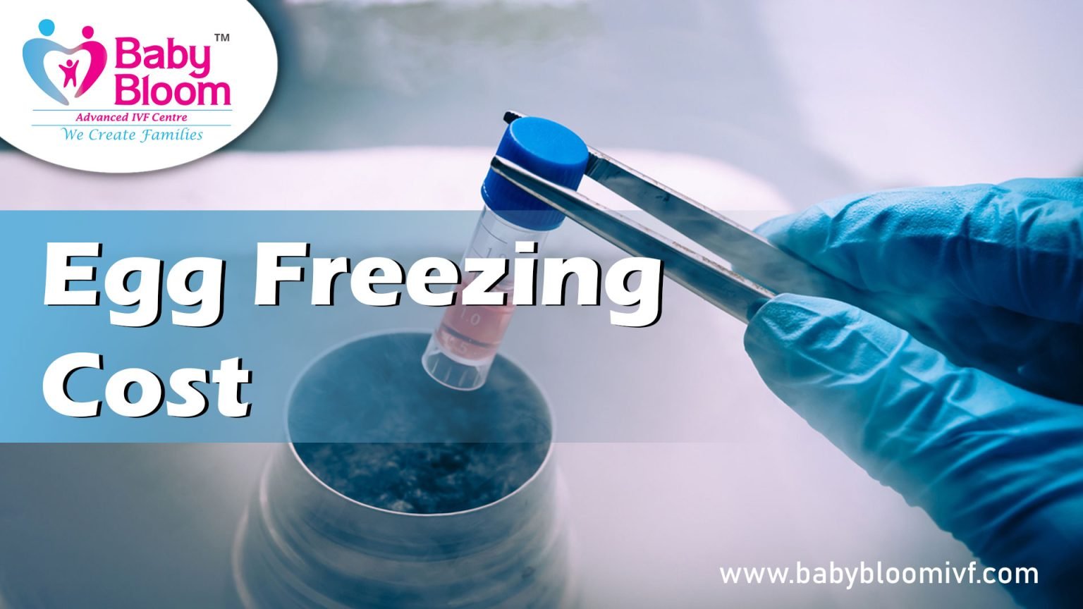 Egg Freezing cost in India sample processing unit