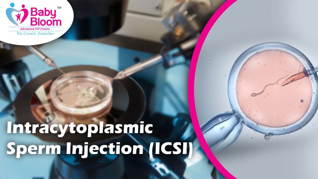 Intracytoplasmic Sperm Injection (ICSI), how icsi work it is showing in this pic