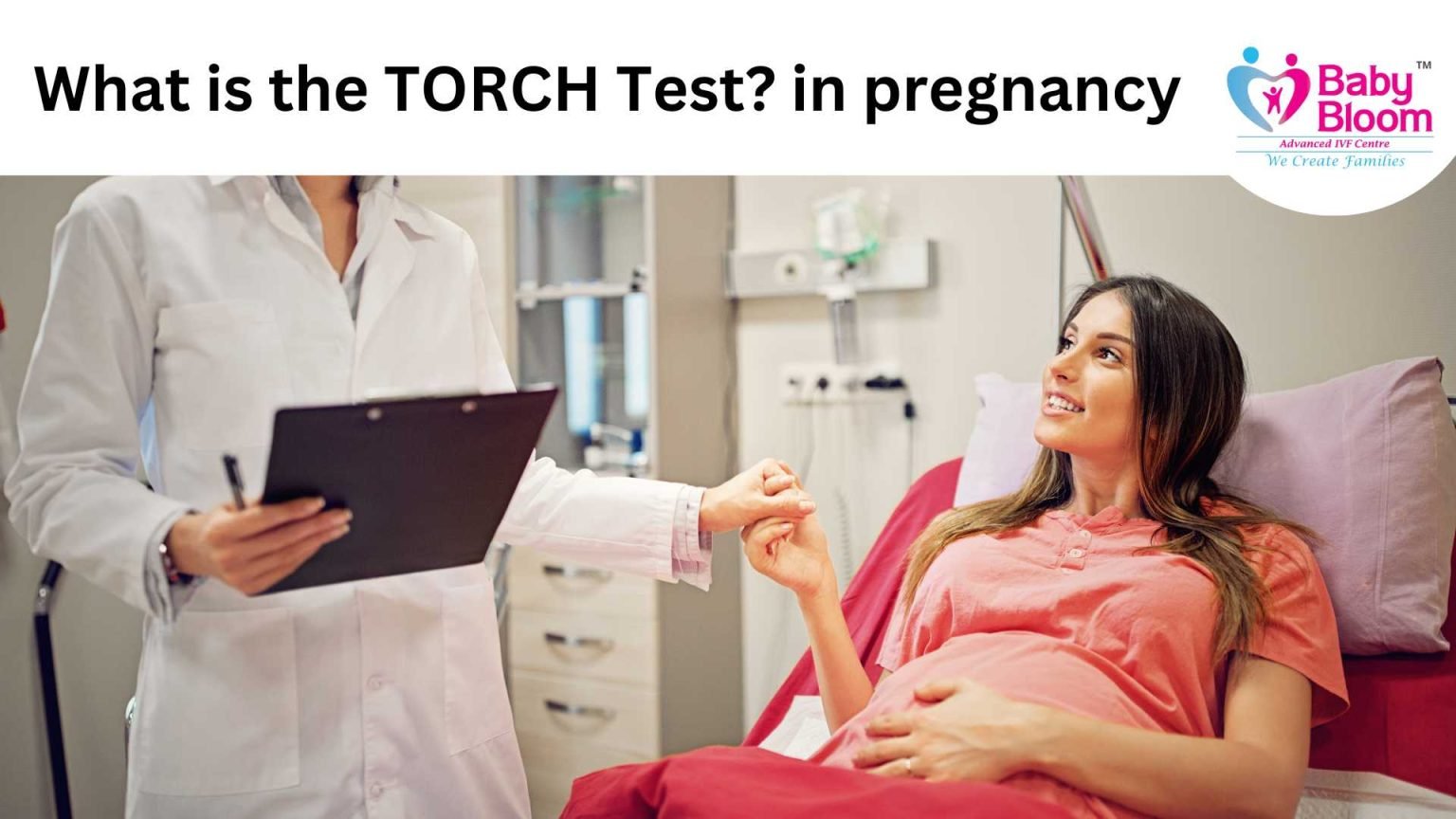 TORCH Test in Pregnancy & Infertility: Meaning, Process, and Benefits, a doctor and patient talking about torch test