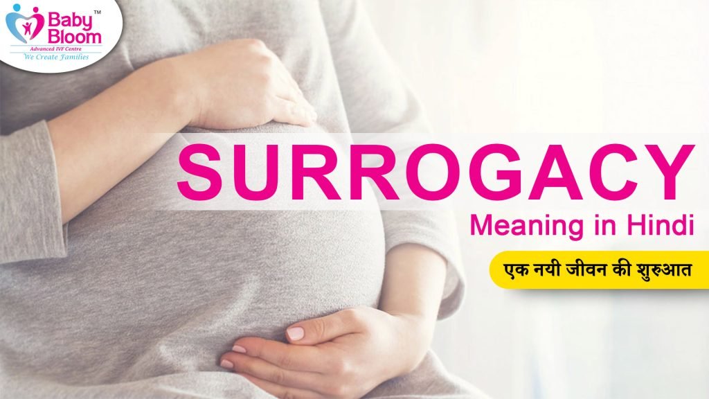 Surrogacy Meaning in hindi, pregnant lady image shown