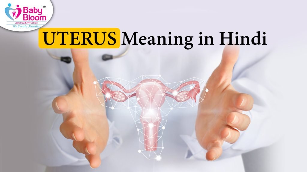 Uterus Meaning in Hindi, uterus diagram shown in this picture and a doctors hand also seen in this pic