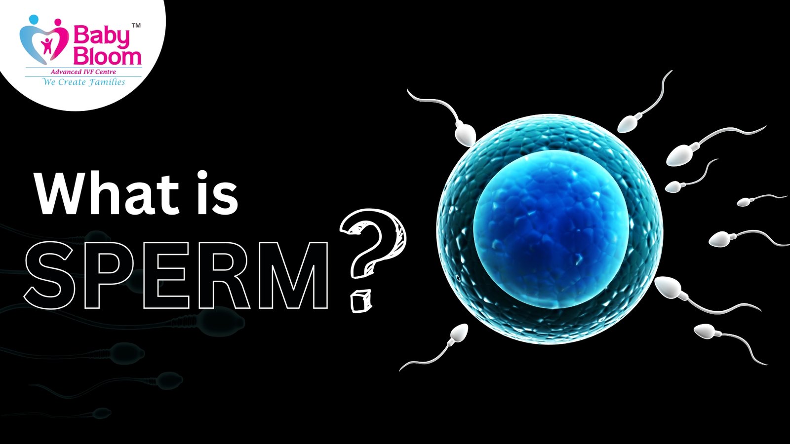 Sperm Meaning in Hindi: शुक्राणु की संरचना, कार्य और स्वास्थ्य से संबंध