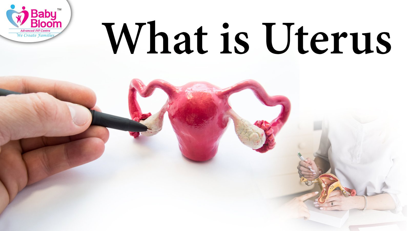 Uterus Meaning in Hindi: गर्भाशय की संरचना और इसके मुख्य कार्य