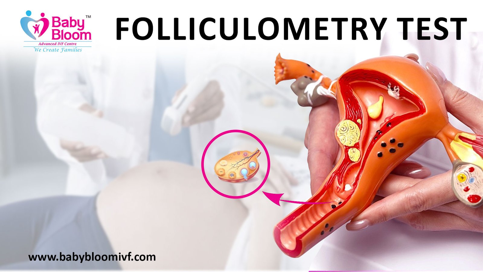 Folliculometry Test, track ovulation,