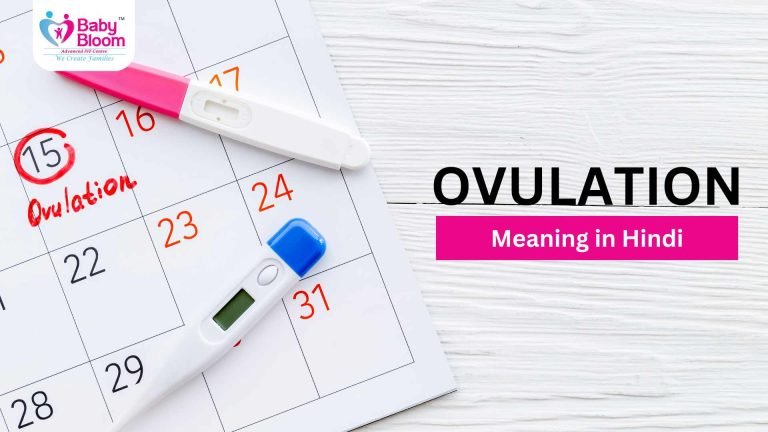 Ovulation Meaning in Hindi: प्रक्रिया, लक्षण और महत्व