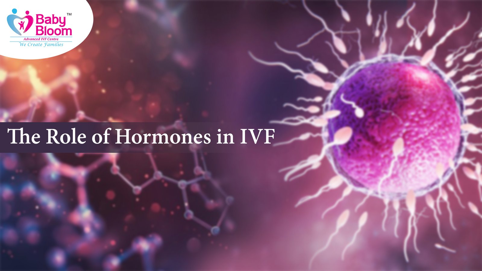 Role of Hormones in IVF, 	How Hormones Affect IVF Success