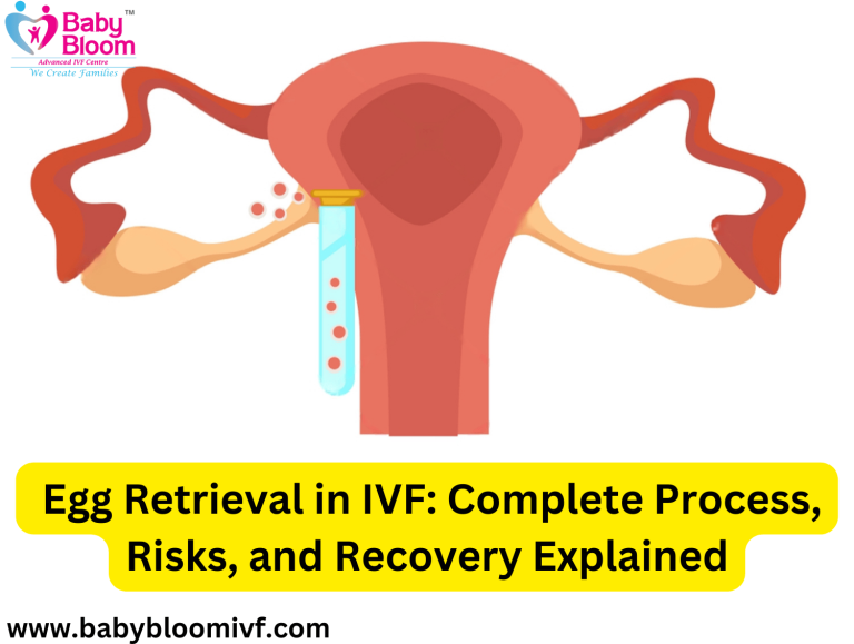 Egg Retrieval In IVF Complete Process Risks And Recovery Egg Retrieval In IVF Complete Process Risks And Recovery