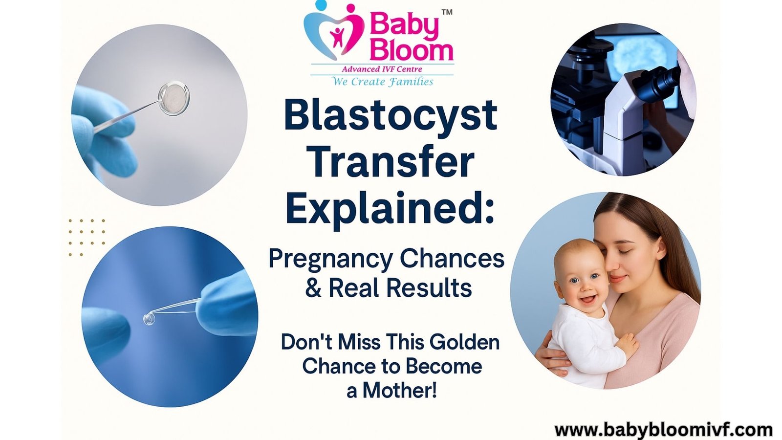 Blastocyst Transfer Explained: Pregnancy Chances & Real Results