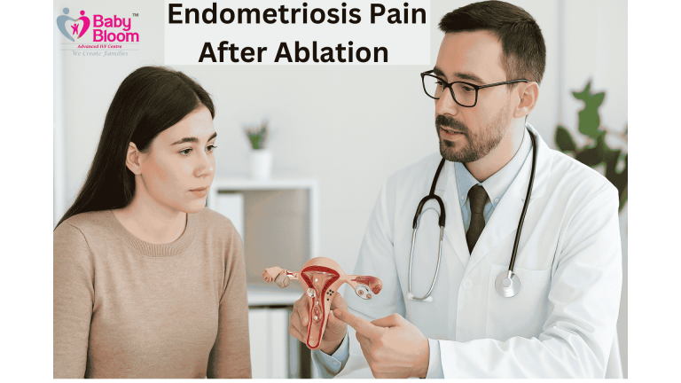 Female patient consulting with doctor about endometriosis pain after ablation, holding uterus model