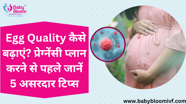 Egg Quality Improvement Tips in Hindi – 5 असरदार उपाय प्रेग्नेंसी प्लान से पहले।