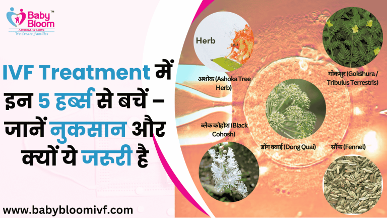 IVF में उपयोग से बचने वाले 5 हर्ब्स जैसे अशोक, ब्लैक कोहोश, डॉन्ग क्वाई, सौंफ, गोखरू का इन्फोग्राफिक