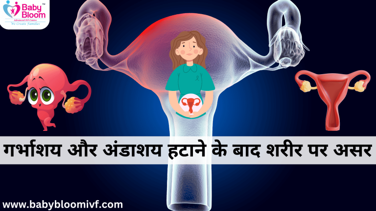 “Illustration of uterus and ovaries removed after hysterectomy and oophorectomy – showing surgical menopause effects on body health”