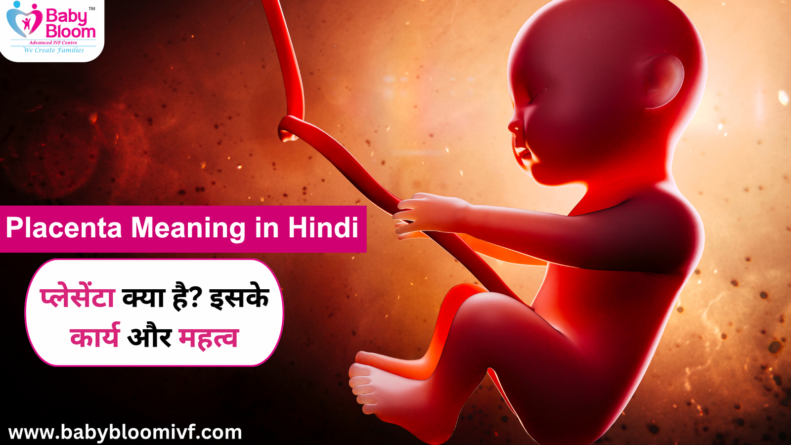 Placenta Meaning in Hindi: प्लेसेंटा क्या है? इसके कार्य और महत्व