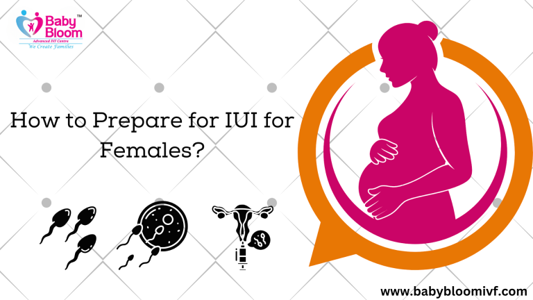 Preparation tips for women before IUI treatment – Baby Bloom IVF Centre