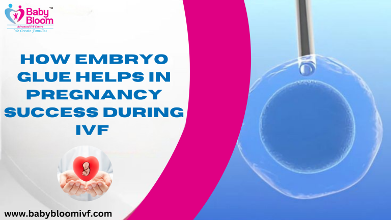 Embryo glue helping in pregnancy success during IVF treatment – Baby Bloom IVF Centre.