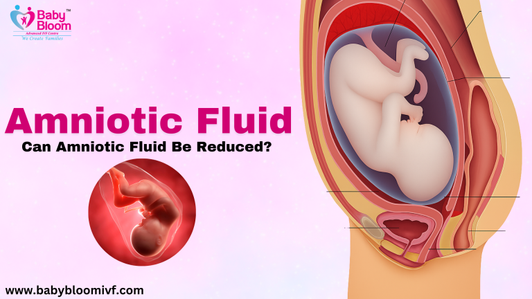 Illustration of fetus in womb showing amniotic fluid with Baby Bloom IVF branding – Can amniotic fluid be reduced?