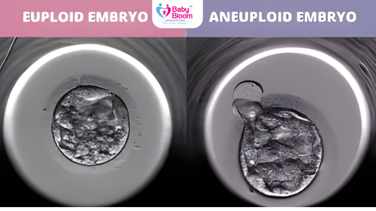 Microscopic comparison of Euploid vs Aneuploid Embryo in IVF treatment"