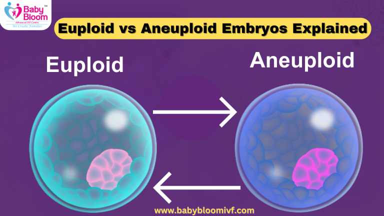 Euploid vs Aneuploid Embryos – IVF और प्रेग्नेंसी में अंतर को समझें"