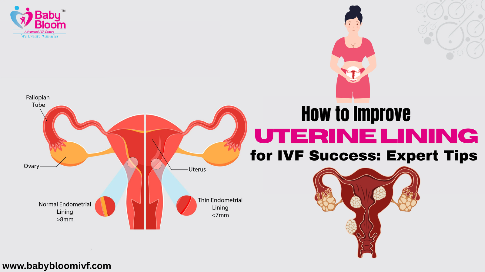 How to Improve Uterine Lining for IVF Success: Expert Tips
