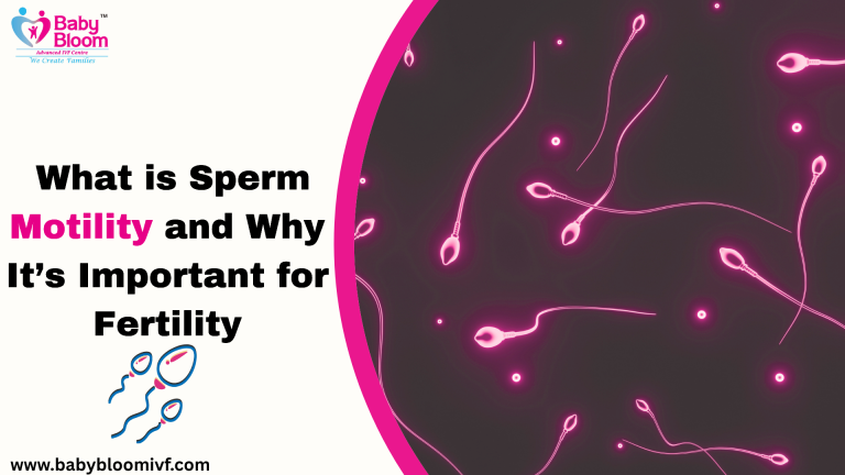 "What is sperm motility and why it is important for fertility – Baby Bloom IVF Centre"