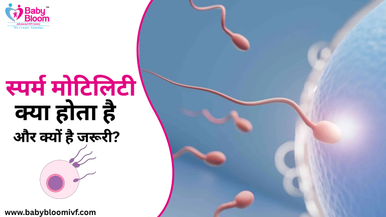 "स्पर्म मोटिलिटी क्या होती है और क्यों है जरूरी – Baby Bloom IVF Centre द्वारा जानकारी"